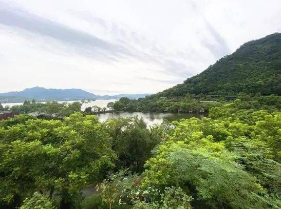 山海金 四 上海老文青浙江山野诗意栖居,引来大波俊男靓女打卡