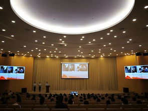 在百千万行动中成长成熟 杭州年轻干部谈蹲点感悟