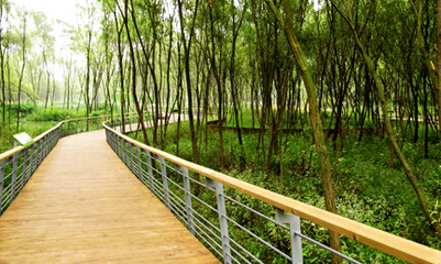 杭州五大地质遗迹点荣登“我喜爱的地质遗迹点”榜单