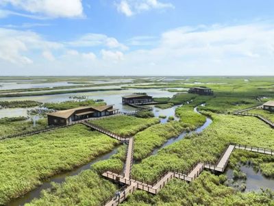 上海方案引领全球超大城市生态修复新范式——杭州国土资源考察团赴沪交流纪实