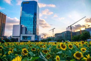 杭州国土资源 政府储备地块的“颜值”与“温度”